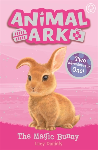 Animal Ark: The Magic Bunny